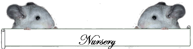 Nursery
