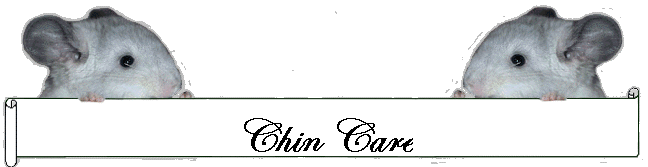 Chin Care