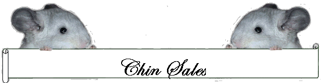 Chin Sales