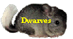 Dwarves