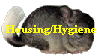 Housing/Hygiene