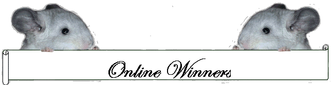 Online Winners