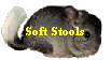 Soft Stools